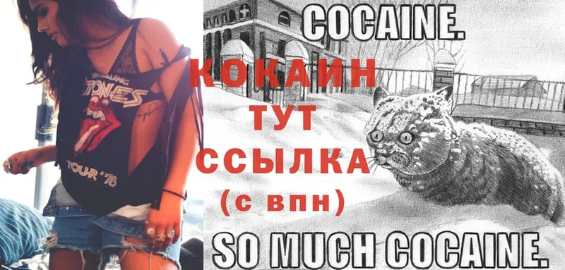 Cocaine 99%  сколько стоит  Мамадыш 